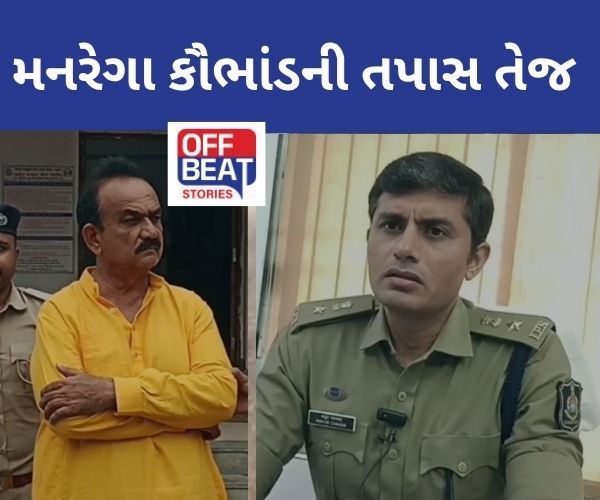 ભરુચ મનરેગા કૌભાંડમાં હીરા જોટવાનો શું રોલ?